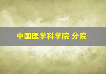 中国医学科学院 分院